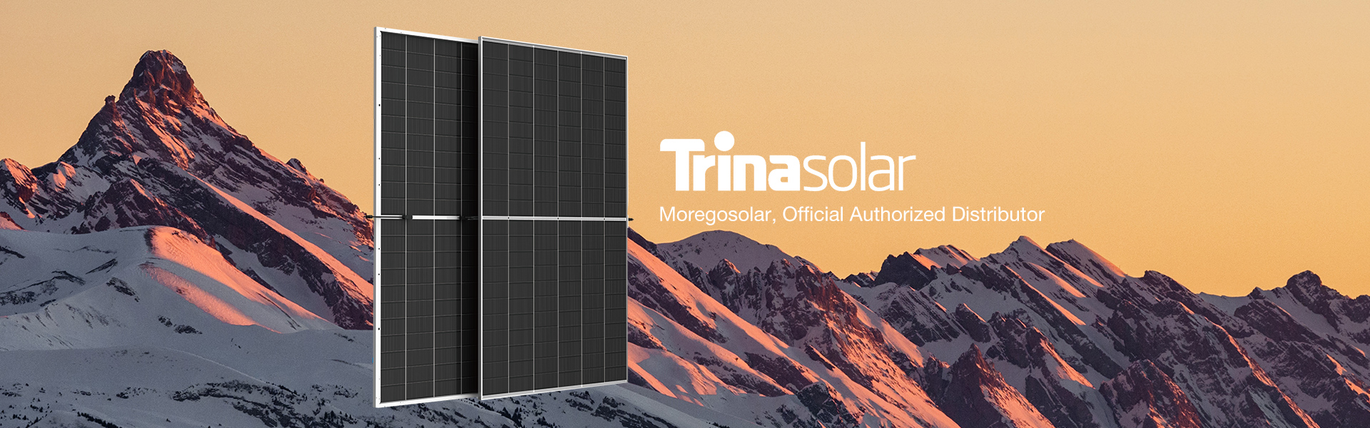 Trina solar Vertex N bifacial 695w 700w dual glass