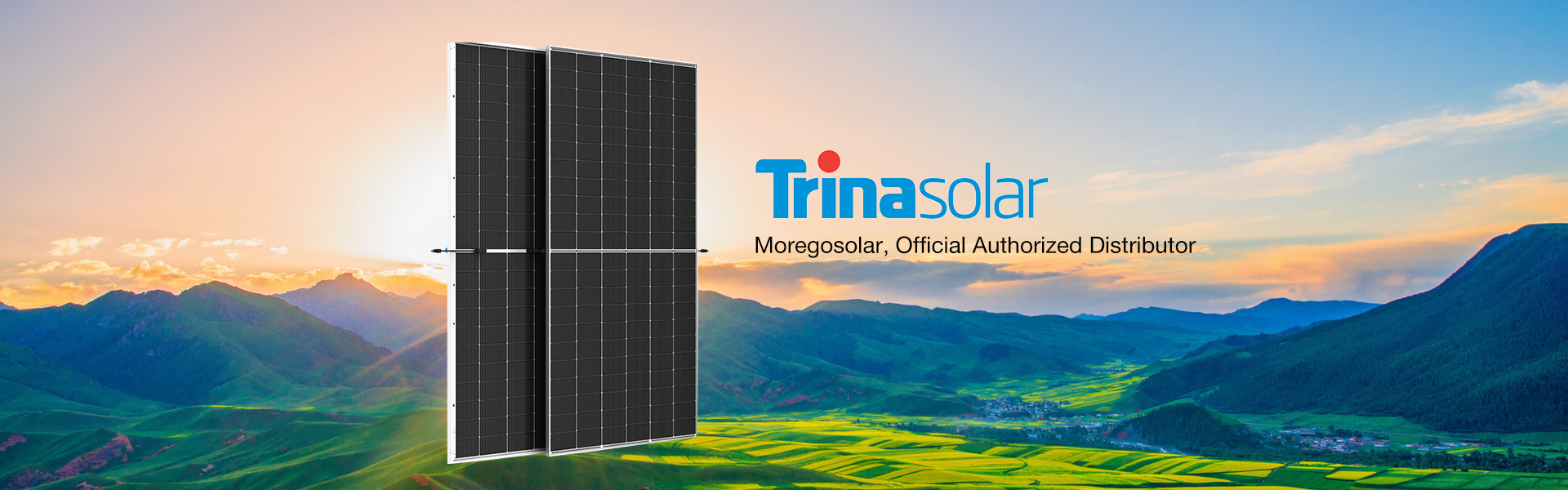 Trina solar Vertex N Bifacial 600w 605w